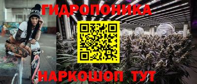 шишки Кунгур