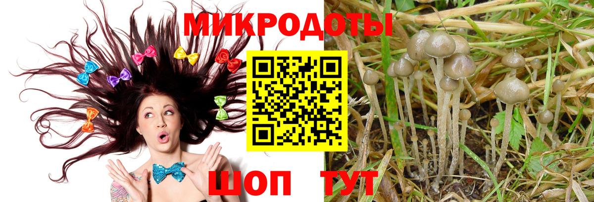 Вольск  Псилоцибиновые грибы MAGIC MUSHROOMS  Вход с VPN  Галлюциногенные грибы Psilocybine cubensis 