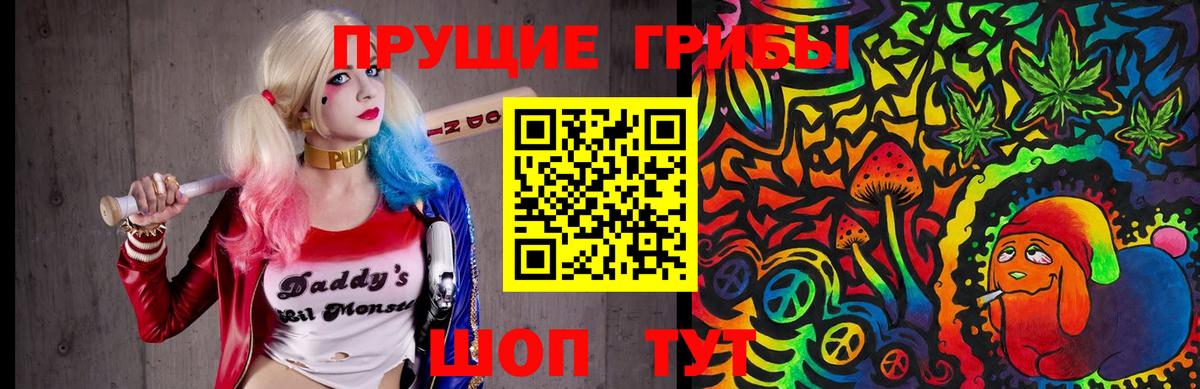 Псилоцибиновые грибы Psilocybine cubensis Вольск